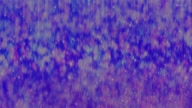7941:45:00000014.jpg