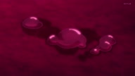 7941:46:00000011.jpg