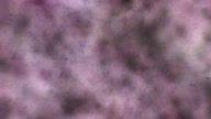 7941:46:00000050.jpg