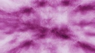 7941:46:00000051.jpg