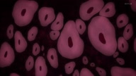 7941:46:00000104.jpg