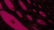 7941:48:00000147.jpg