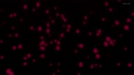 7941:48:00000148.jpg
