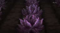 7981:1:00000101.jpg