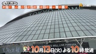 7981:1:00000174.jpg