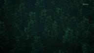 7981:1:00000185.jpg