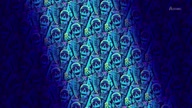 7981:2:00000015.jpg