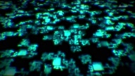 7981:2:00000077.jpg