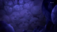 7981:2:00000146.jpg