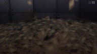 7998:1:00000054.jpg