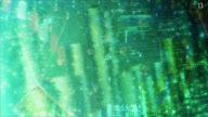 7998:1:00000113.jpg
