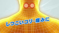 7999:1:00000001.jpg