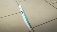 8000:1:00000137.jpg