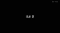 8001:52:00000137.jpg