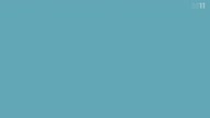 8005:2:00000013.jpg