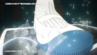 8005:2:00000020.jpg