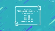 8005:3:00000011.jpg