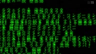 8005:3:00000085.jpg