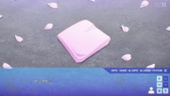 8006:1:00000009.jpg