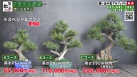 8009:25:00000001.jpg