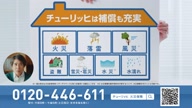 8010:1:00000181.jpg