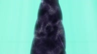 8010:2:00000107.jpg
