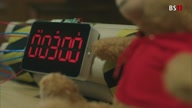 8014:3:00000181.jpg