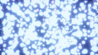 8015:1:00000024.jpg