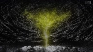 8015:1:00000091.jpg