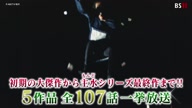 8015:1:00000177.jpg