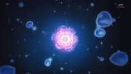 8019:1:00000010.jpg