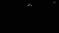8019:1:00000164.jpg