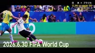 8019:2:00000030.jpg