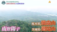 8021:14:00000180.jpg