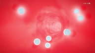 8025:51:00000018.jpg