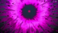 8027:2:00000124.jpg
