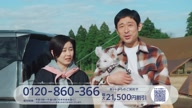 8035:1:00000168.jpg