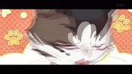 8078::00000102.jpg