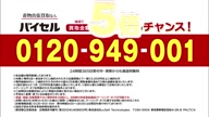 8078:5:00000002.jpg
