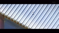 8078:5:00000045.jpg